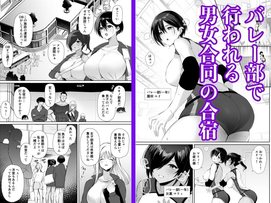 男女混合合宿