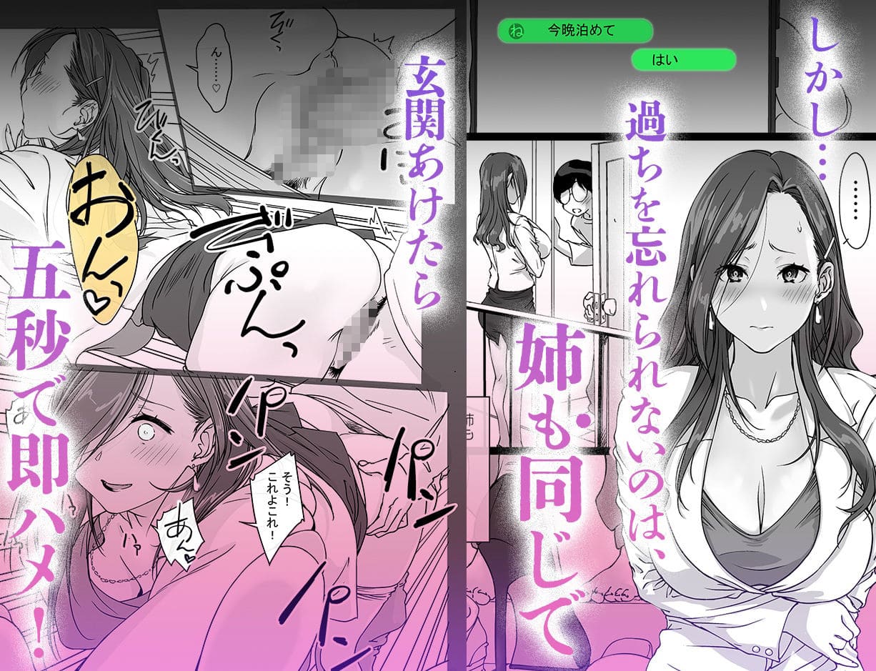 姉ちゃんと即ハメ