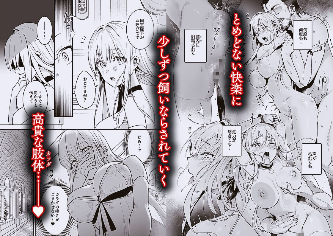 王女陥落2 吉田Killy