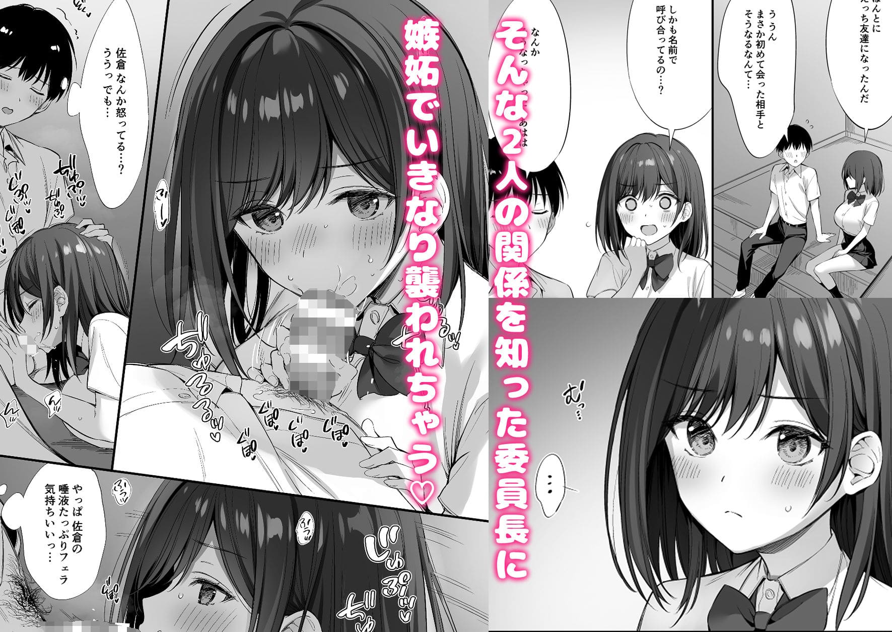 学園で繰り広げられる清楚ヒロインの秘密の逢瀬を描いた人気作品